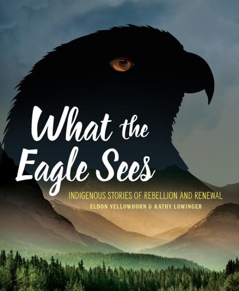Cover of What the Eagle Sees