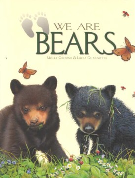 We are bears / Molly Grooms & Lucia Guarnotta.