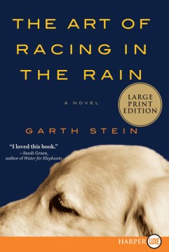 The art of racing in the rain a novel / Garth Stein