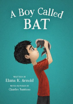 一个叫蝙蝠的男孩，书的封面