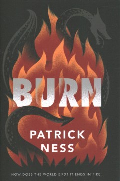 Burn, book cover