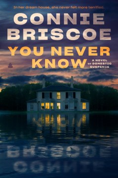 You Never Know, by Connie Briscoe