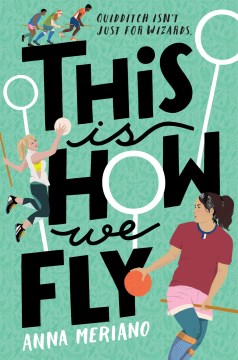This is How We Fly, book cover