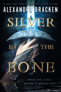 Silver in the Bone, book cover