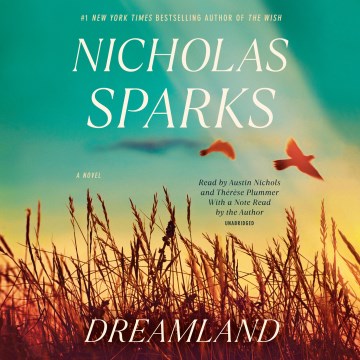 Dreamland by Nicholas Sparks.