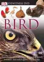 Eyewitness Bird VIdeorecording by Producer, Justine Kershaw