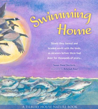 Swimming home / Susan Hand Shetterly ; illustrations by Rebekah Raye