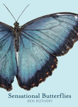 Sensational butterflies / Ben Rothery.