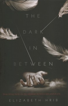 The Dark In-between, bìa sách