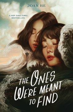 The Ones Were Meant to Find, book cover