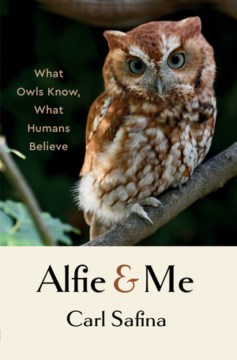Alfie and Me: What Owls Know, What Humans Believe by Carl Safina