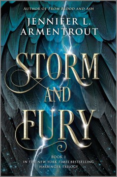 Storm and Fury，書籍封面