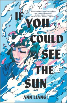 If You Could See the Sun, book cover