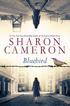 Bluebird, book cover