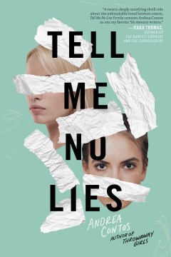 Tell Me No Lies, book cover