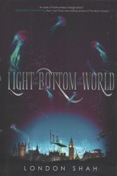 The Light At the Bottom of the World by London Shah