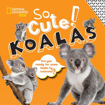 koalas