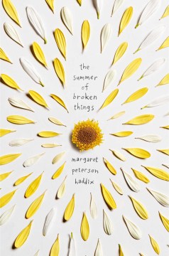 El verano de las cosas rotas, portada del libro.