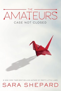 The Amateurs, portada del libro