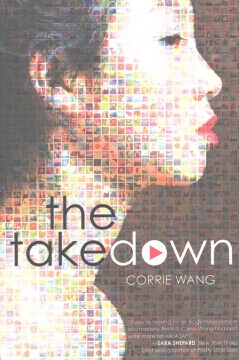 The Takedown, portada del libro