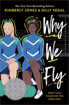 Why We Fly, portada del libro