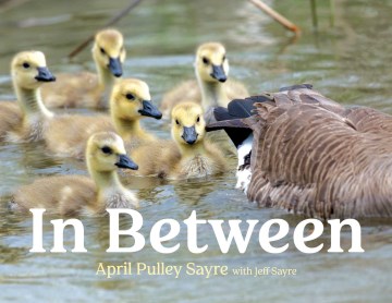In Between by April Pulley Sayre With Jeff Sayre