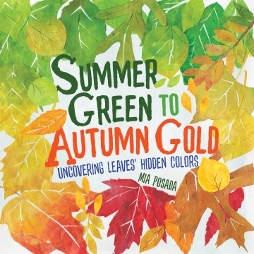 夏季绿色到秋季金色，书籍封面