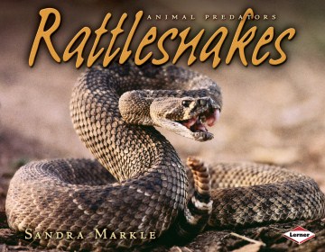 響尾蛇，書的封面