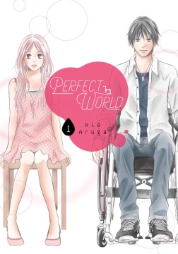 Perfect World, portada del libro