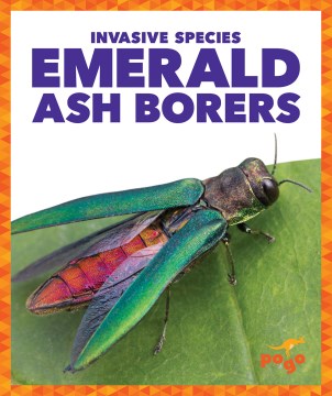 Emerald Ash Borers by by Alicia Z. Klepeis