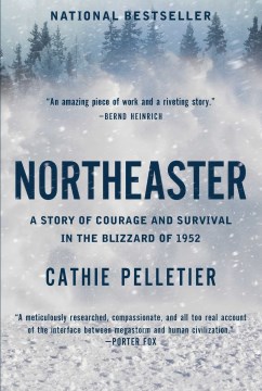 Northeaster by Cathie Pelletier