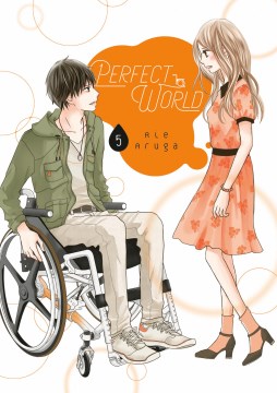 Perfect World 5, portada del libro
