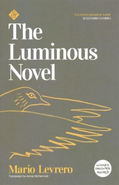 The Luminous Novel, by Mario Levrero