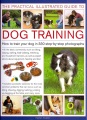 Practical Illustrated Guide to Dog Training, book cover