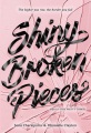 Shiny Broken Pieces, book cover