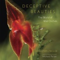 Deceptive Beauties, book cover