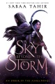 Un cielo más allá de la Storm, portada del libro