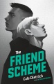 The Friend Scheme, book cover