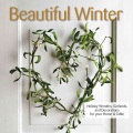 Beautiful Winter, book cover