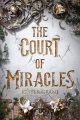 The Court of Miracles, book cover