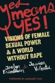Yes Means Yes!, book cover