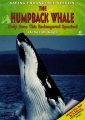 La ballena jorobada, portada del libro