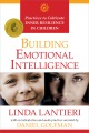 Construyendo inteligencia emocional, portada de libro