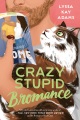 Crazy Stupid Bromance, book cover