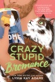 Crazy Stupid Bromance, portada del libro