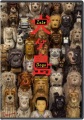 Isle of Dogs, book cover