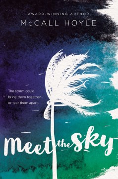 Portada del libro Meet the Sky