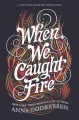 Bìa sách Khi chúng tôi bắt lửa