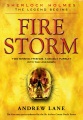 Fire Storm Crow book cover