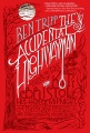 The Accidental Highwayman book cover